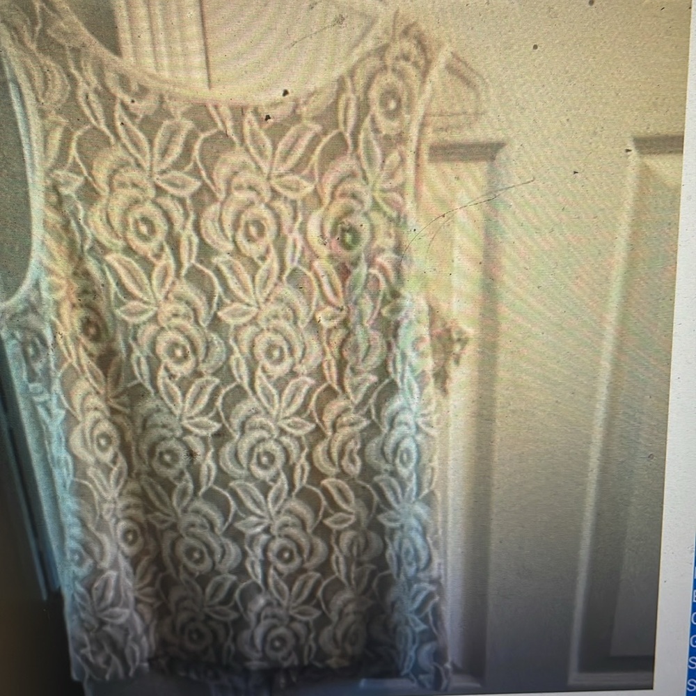 Banana Republic beige Lace Sleeveless Top 12